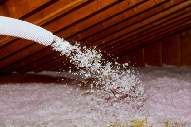 Best Insulation Maintenance and Repair in Lake Hamilton, AR