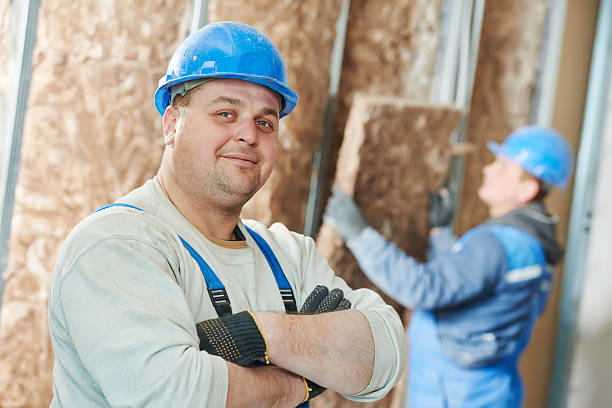Best Insulation Installation Services in Lake Hamilton, AR